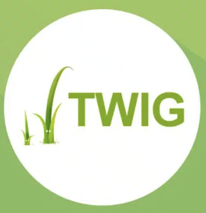 twig